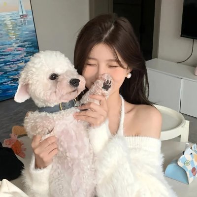 小锅盖当官