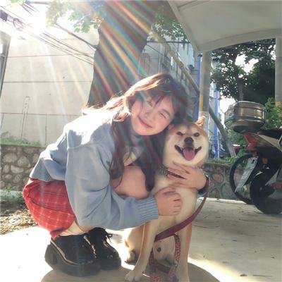 文豪野犬第二季
